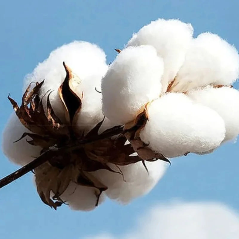 New Men's "speed Powder Car" Printed Hoodie Sweater Comfortable Fit Casual Fashion Autumn and Winter Hooded Jumper